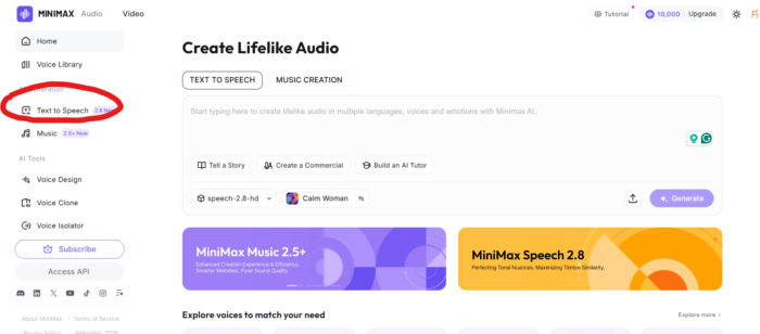 MiniMax Audio 管理画面